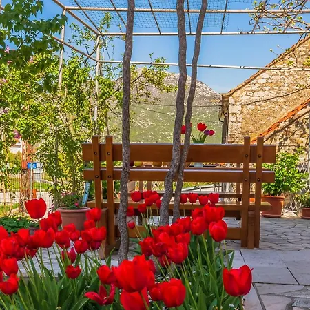 Apartman Greenway Radic *