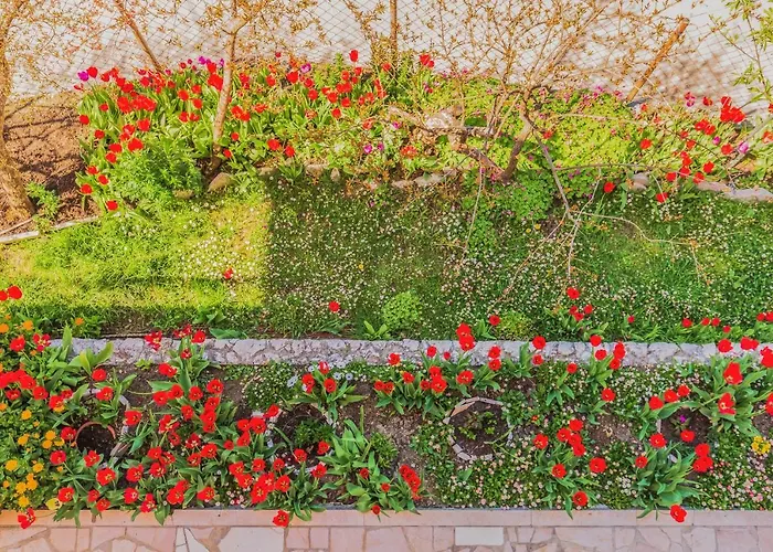 Apartman Greenway Radic *
