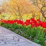 Apartman Greenway Radic