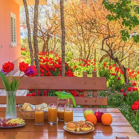Appartement Greenway Radic *