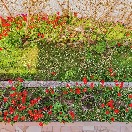 Appartement Greenway Radic *